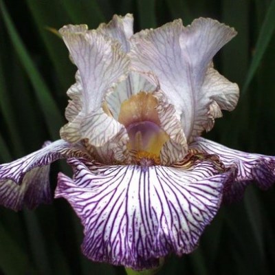 Piccadilly Circus (Sutton, 2002)3